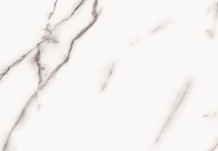 經典魚肚 FK04-TB003-1